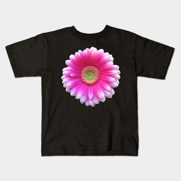 gerbera flower, daisies, gerberas, daisy, bloom Kids T-Shirt by rh_naturestyles